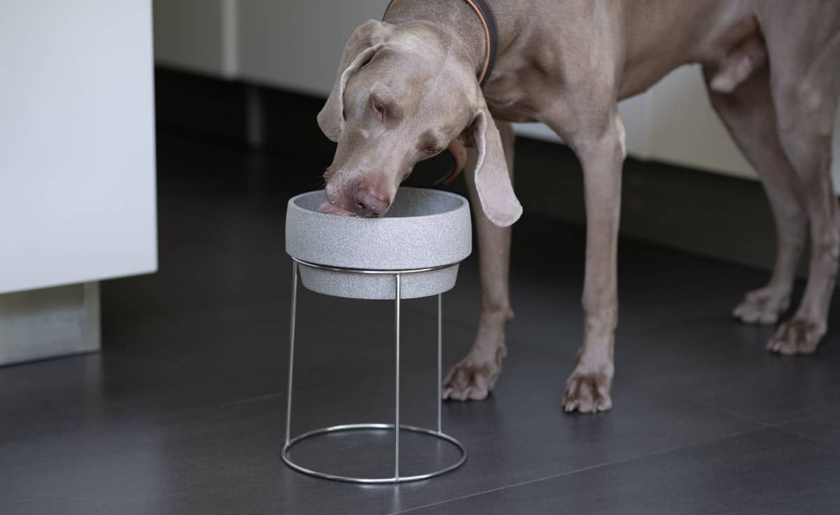 DENK Keramik Edelstahlständer für Hundenapf M und L 26 cm für große Hunde | EST1