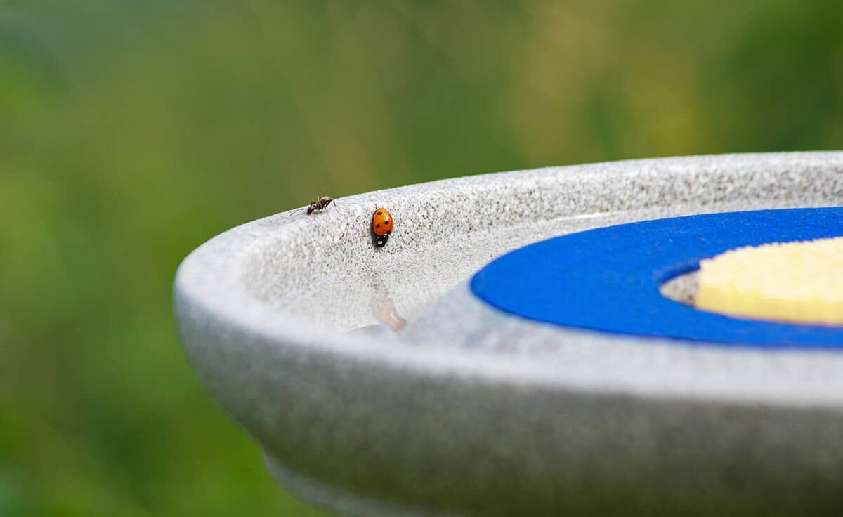 DENK Keramik Insektenstation Granicium® mit Ständer | INS+STE von DENK Keramik