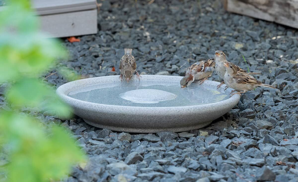 DENK Keramik Vogeltränke aus Granicium® - VTG von DENK Keramik