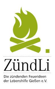 ZündLi in schöner Holzbox | Anfeuerpäckchen zum Anzünden von Holzfeuer und Grill - 32 Stück von ZündLi