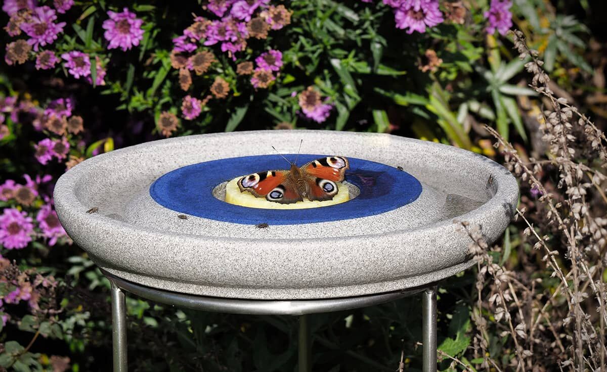 DENK Keramik Edelstahl Ständer für die Insektenstation | INS-STE von DENK Keramik
