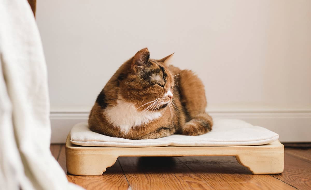 DENK Minkas-Kachelofen - das elektrisch beheizte Katzenbett | MK-CN von DENK Keramik