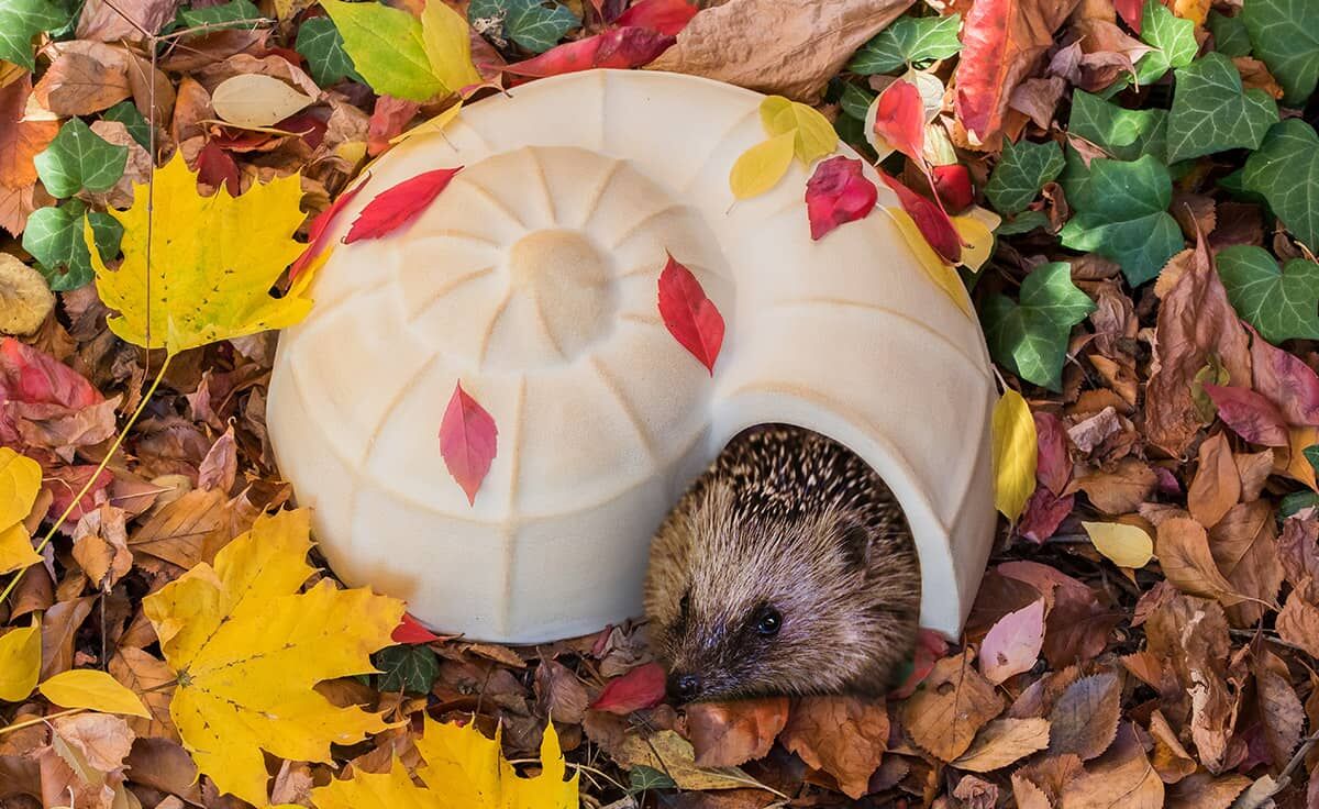 DENK Keramik Igel Schnecke | Ganzjahres Quartier für die Igel Familie - IS von DENK Keramik