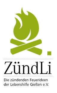 1x ZündLi die Anfeuerpäckchen zum Anzünden von Holzfeuer und Grill - 32 Stück von ZündLi