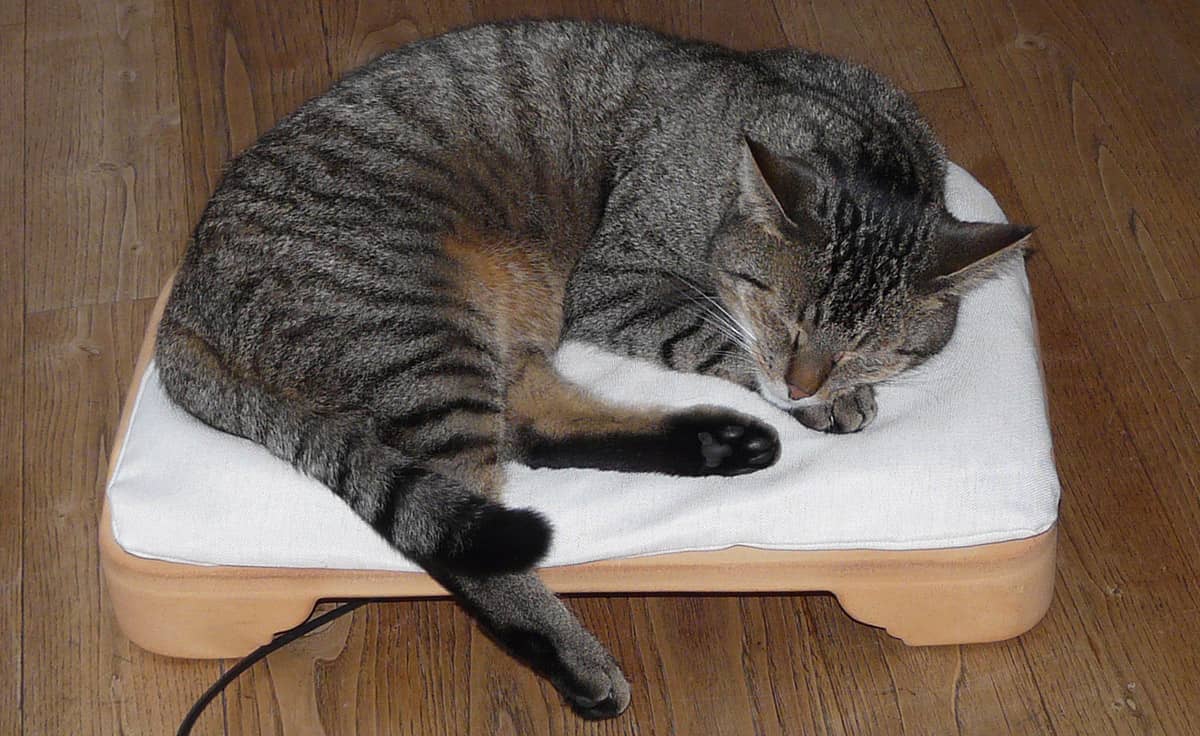 DENK Minkas-Kachelofen - das elektrisch beheizte Katzenbett | MK-CN von DENK Keramik