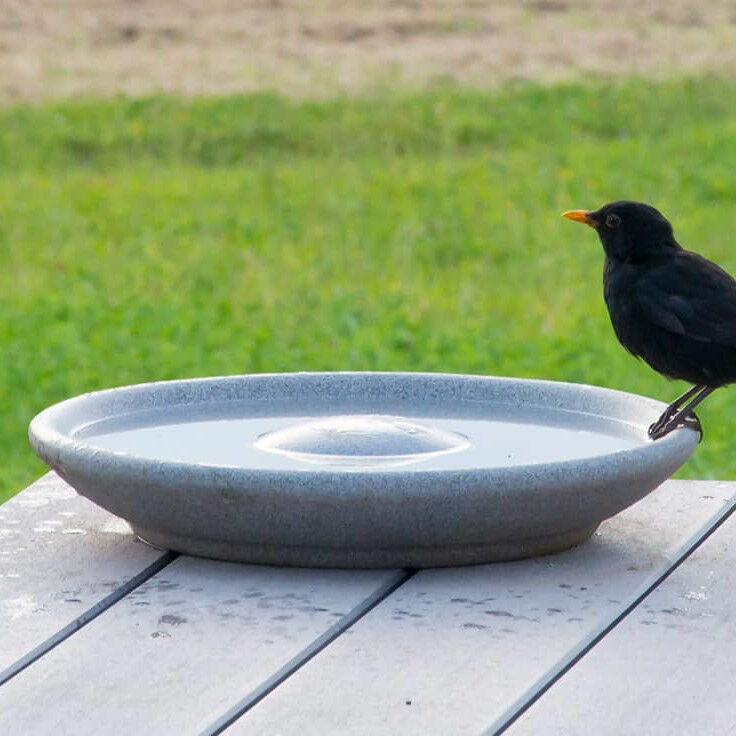 DENK Keramik Vogeltränke aus Granicium® - VTG von DENK Keramik